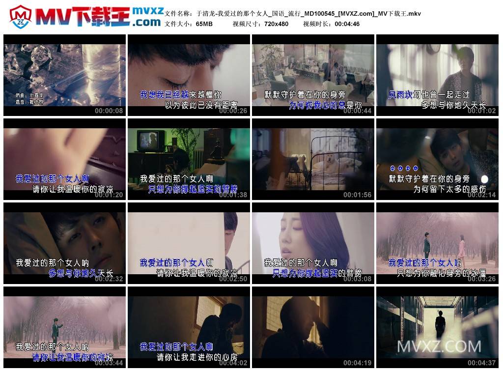 于清龙-我爱过的那个女人_国语_流行_MD100545